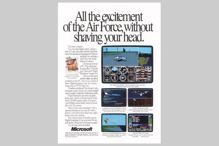 Microsoft – flight sim