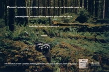 Kyocera – racoons