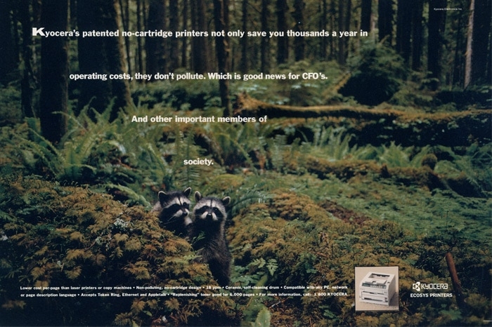 Kyocera – racoons