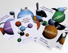 Arch Chemicals – brochure