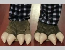 Slippers
